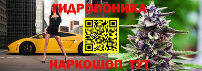 гашишное масло Будённовск