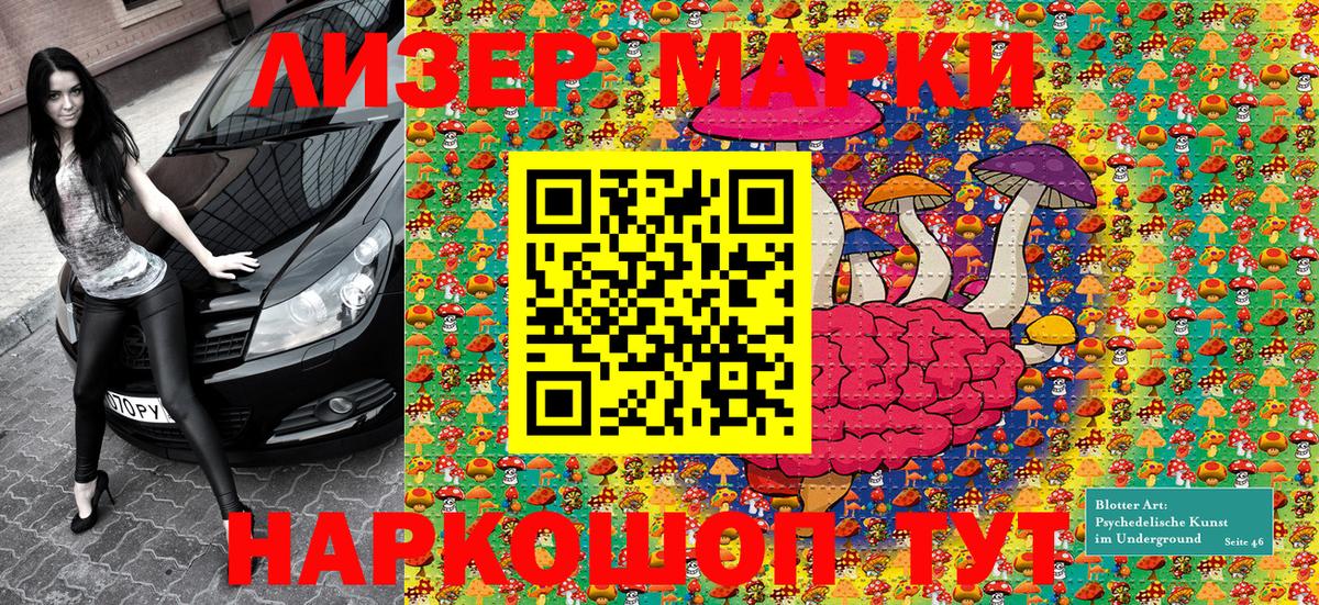 Лесной  Марки N-bome 1,5мг  Вход с VPN 