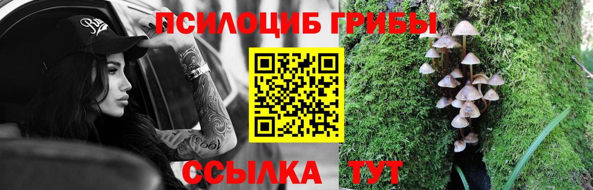 Галлюциногенные грибы Cubensis Лесной
